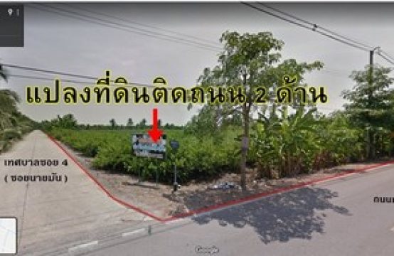 ขายที่ดินเปล่า ทำเลดี 4-1-80 ไร่ ติดถนน5003 ใกล้วัดคลองตันราษฎร์บำรุง  บ้านแพ้ว เกษตรพัฒนา  ราคา6.5ล้าน